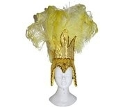 Carnavalstooi Veren Goud