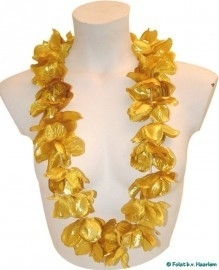 Gouden Hawai Krans