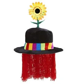 Vrolijke Clownshoed Met Haar