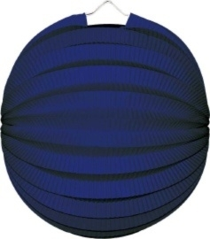 Bollampion Blauw 23cm