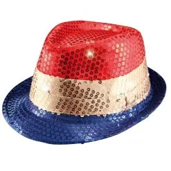 RWB Hoedje Led Verlichting