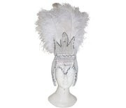 Carnavalstooi Veren Zilver