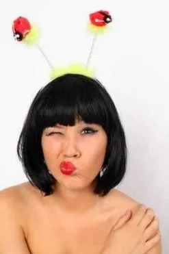 Hoofddiadeem Lieveheersbeestje